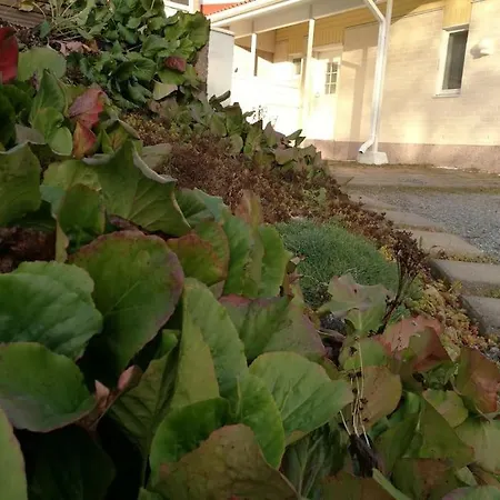 Cosy Near By Ideapark Huoneisto *